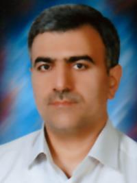 مالک	محمدی فرد